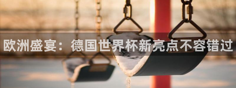 国际足联世界杯：欧洲盛宴：德国世界杯新亮点不容错过