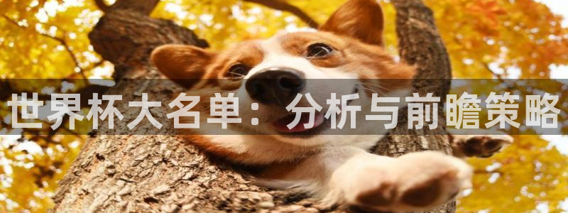 英格兰联赛杯直播：世界杯大名单：分析与前瞻策略