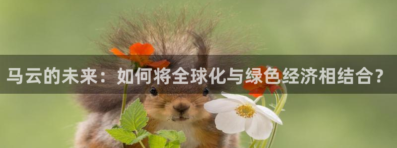 预选赛世界杯：马云的未来：如何将全球化与绿色经济相结合？