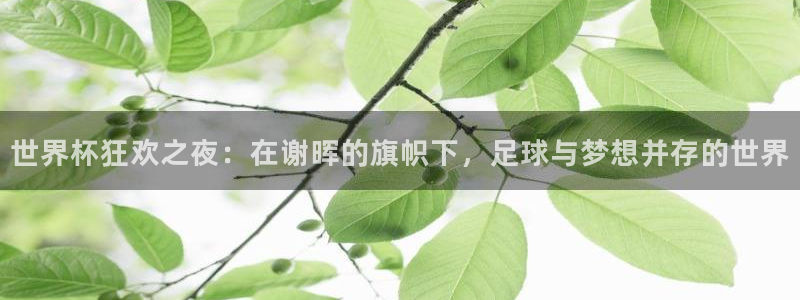 2026世界杯欧洲预选赛赛程表：世界杯狂欢之夜：在谢晖的旗帜下，足球与梦想并存的世界