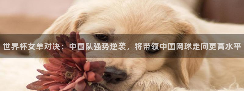 足球杯：世界杯女单对决：中国队强势逆袭，将带领中国网球走向更高水平