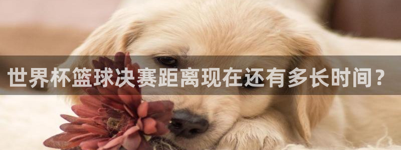 世界杯直播时间：世界杯篮球决赛距离现在还有多长时间？