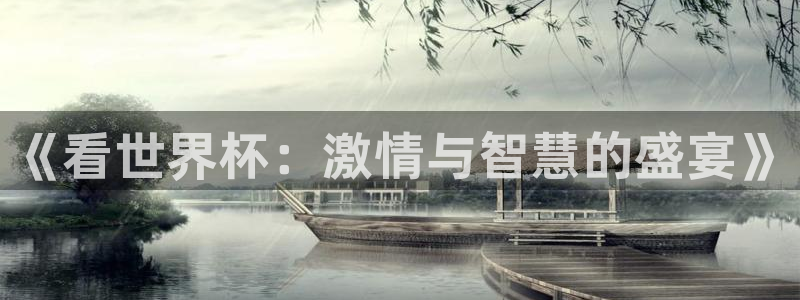 世界杯欧洲预选赛：《看世界杯：激情与智慧的盛宴》