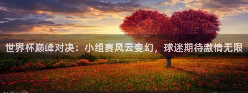看世界杯：世界杯巅峰对决：小组赛风云变幻，球迷期待激情无限