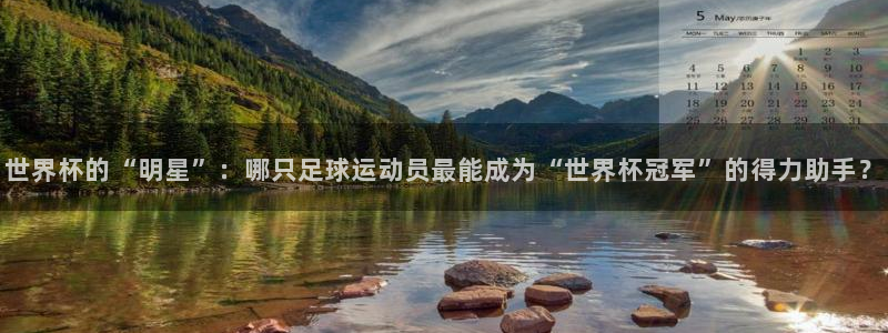 英足总杯直播：世界杯的“明星”：哪只足球运动员最能成为“世界杯冠军”的得力助手？