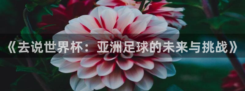 免费足球比赛直播高清：《去说世界杯：亚洲足球的未来与挑战》