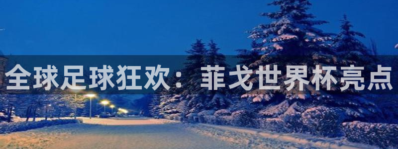 世界杯足球2026：全球足球狂欢：菲戈世界杯亮点