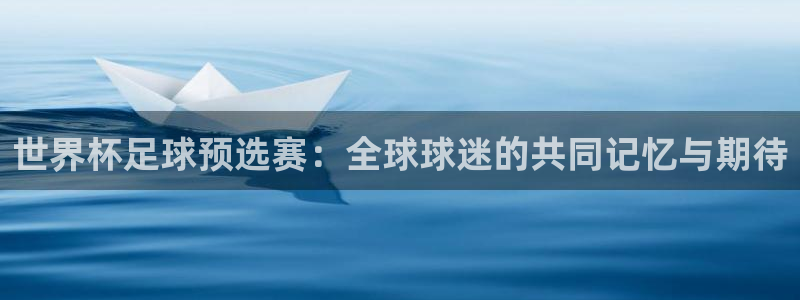 世预赛直播：世界杯足球预选赛：全球球迷的共同记忆与期待