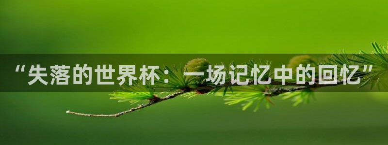 2026葡萄牙杯赛程表：“失落的世界杯：一场记忆中的回忆”