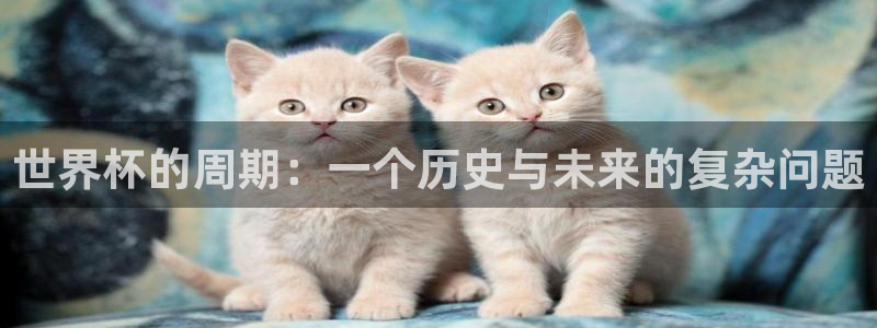美洲杯直播：世界杯的周期：一个历史与未来的复杂问题