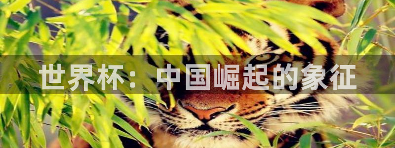 男足世界杯预选赛赛程：世界杯：中国崛起的象征