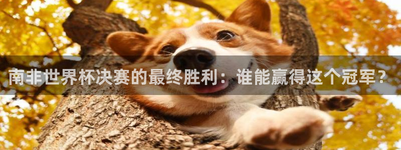 2026足球世界杯赛程时间表：南非世界杯决赛的最终胜利：谁能赢得这个冠军？