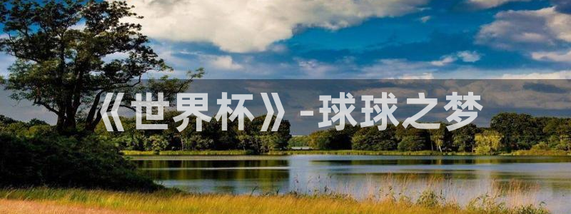 世界杯决赛圈球队：《世界杯》-球球之梦