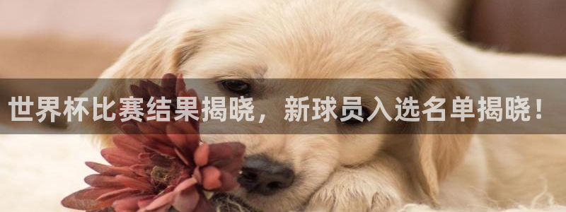女足世界杯赛程：世界杯比赛结果揭晓，新球员入选名单揭晓！