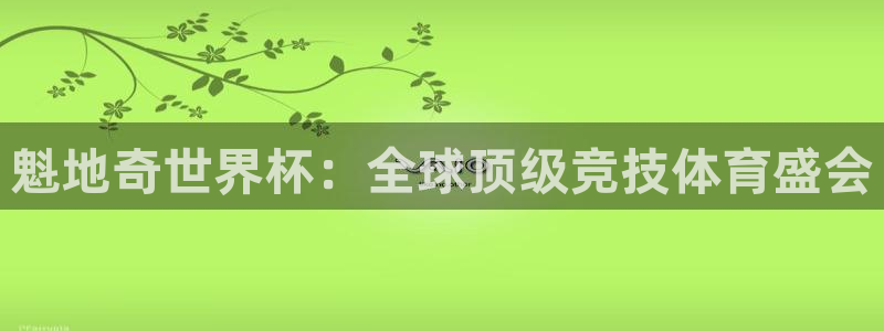 世界杯在线直播入口：魁地奇世界杯：全球顶级竞技体育盛会